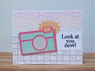 laura_williams_stamps_of_life_look_at_you_now_camera_card.jpg