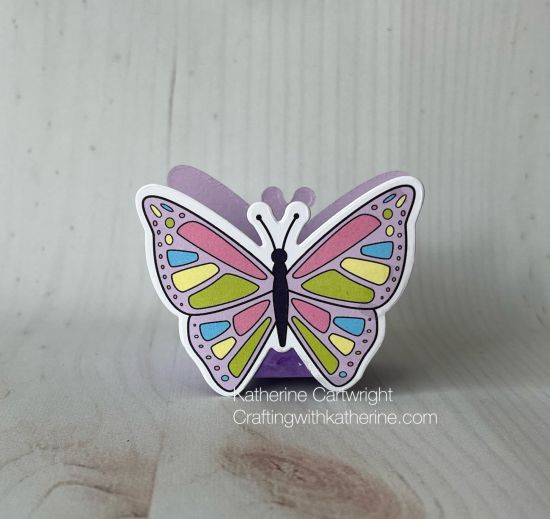 Keywords: BoxitDie Beautifulbutterflies