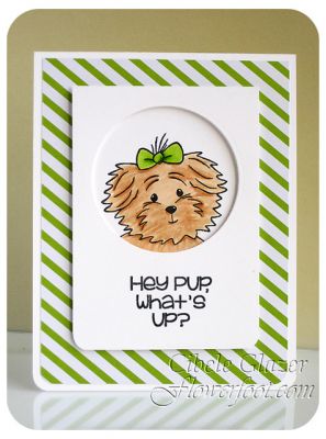 Hey Pup What's Up
Keywords: friendship, birthday