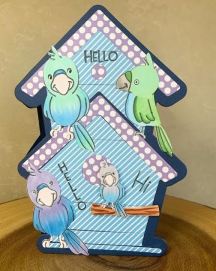 Keywords: BirdhouseFoldit
