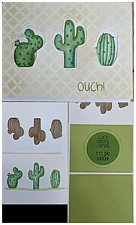 Cactus_All.jpg