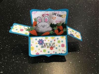 Bunny box card
Keywords: Bunnypudgie, box card die