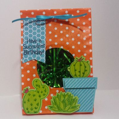 Succulent Gift Bag
