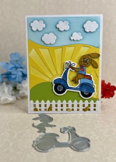 Scooter Dogs Class
