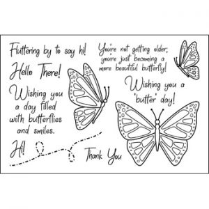 Beautiful Butterflies Clear Stamp Set