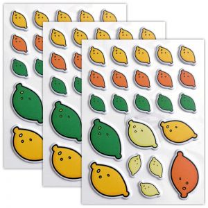 Dear Friend Lemon Puffy Stickers (3 Packs)